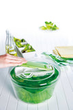 Swift Dry Salad Spinner | Zyliss