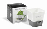 Herb Keeper | Self Watering | Cole & Mason